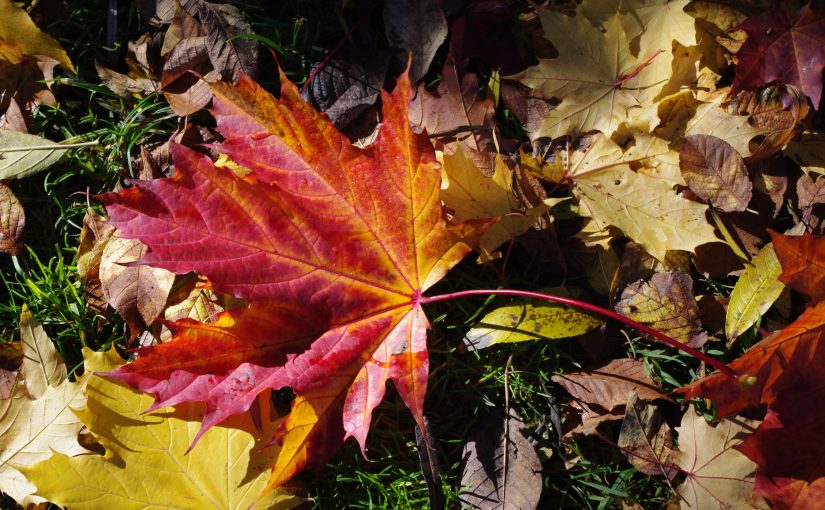 November