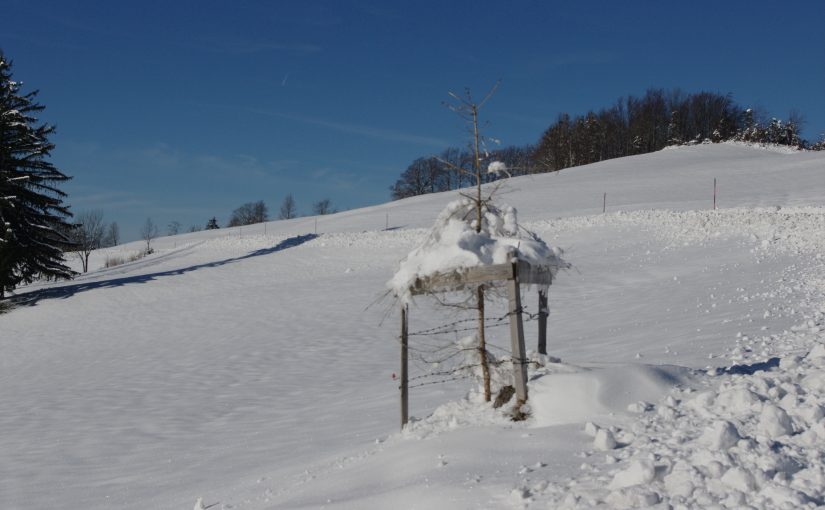 Glauben
