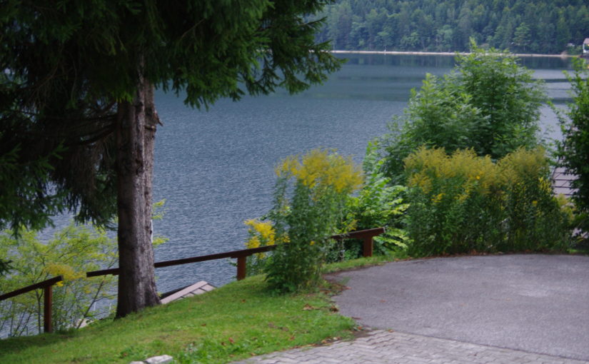 Der Leitfaden