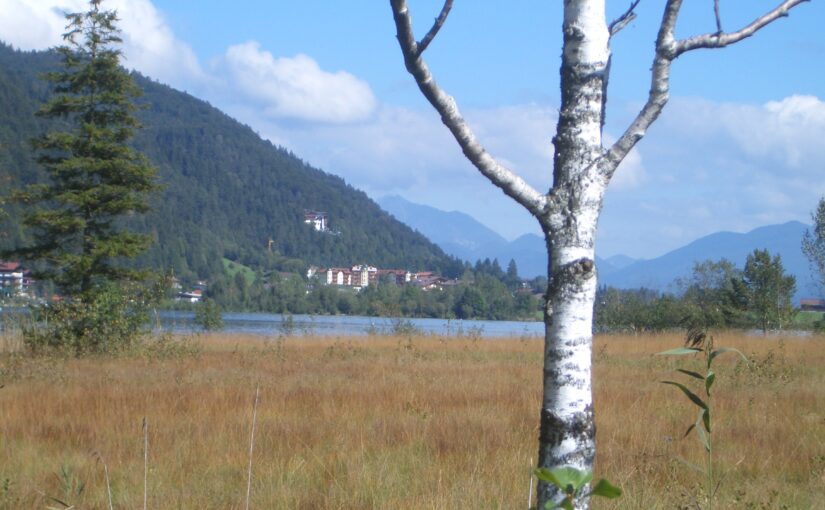September